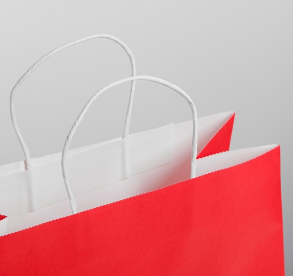 Пакет подарочный «С НГ», 25 × 22 × 12 см