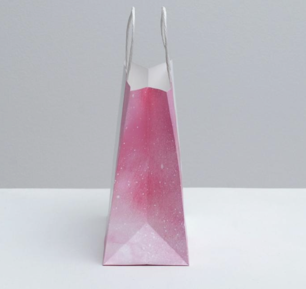 Пакет подарочный крафтовый «Present for you», 22 × 25 × 12 см