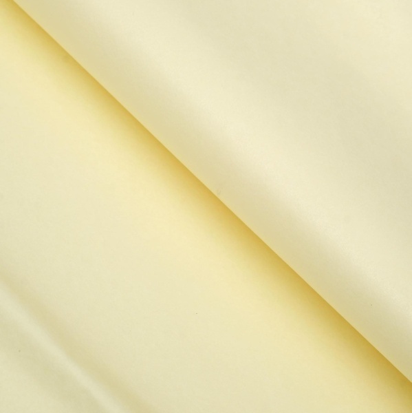 Бумага упаковочная тишью, Шампань, 50 х 66 см, набор 10 шт