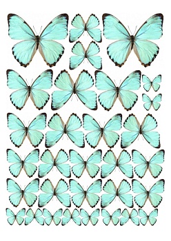 Бабочки №7, картинка на сахарной бумаге