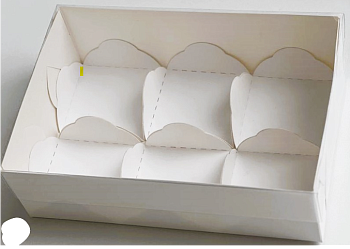 Коробка для моти с пластиковой крышкой 175*120*55 мм (6 ячеек), белая