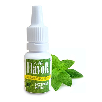 Натуральный экстракт Мяты Mr.Flavor, 10 мл