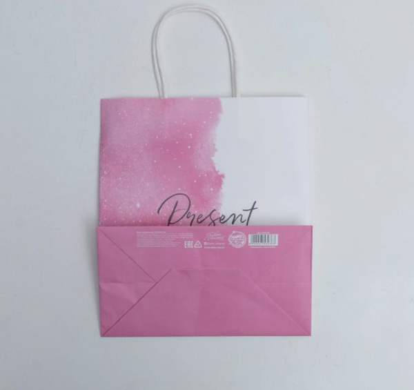 Пакет подарочный крафтовый «Present for you», 22 × 25 × 12 см