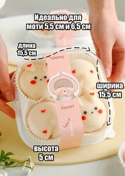 Контейнер пластиковый для 4 моти, 15,4*15,4*5 см